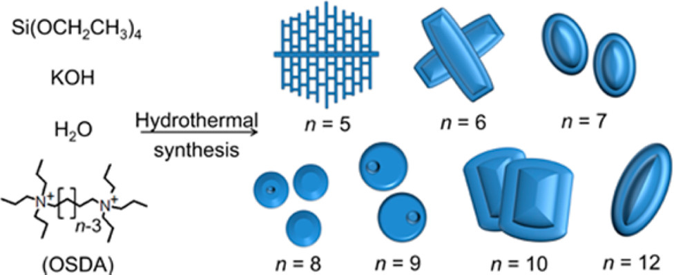 Factors Governing The Formation Of Hierarchically And Sequentially ...